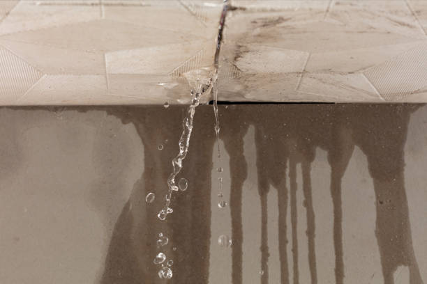 Professional Structural Drying technician working in Maysville, MO